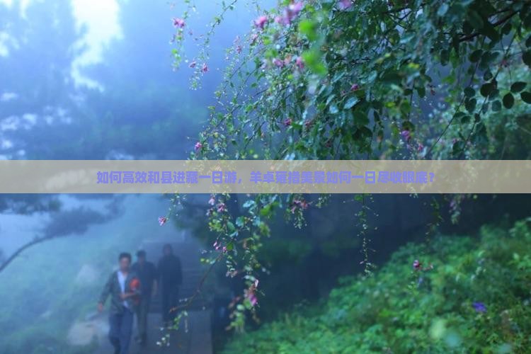 如何高效和县进藏一日游，羊卓雍措美景如何一日尽收眼底？