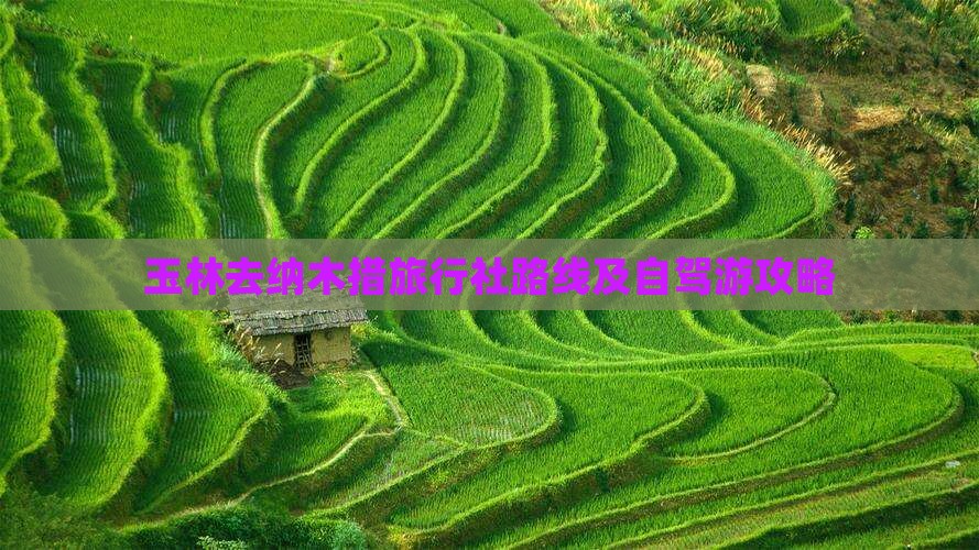 玉林去纳木措旅行社路线及自驾游攻略