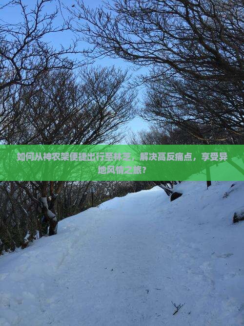 如何从神农架便捷出行至林芝，解决高反痛点，享受异地风情之旅？