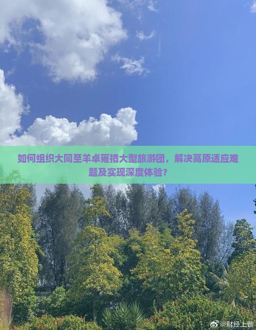 如何组织大同至羊卓雍措大型旅游团，解决高原适应难题及实现深度体验？