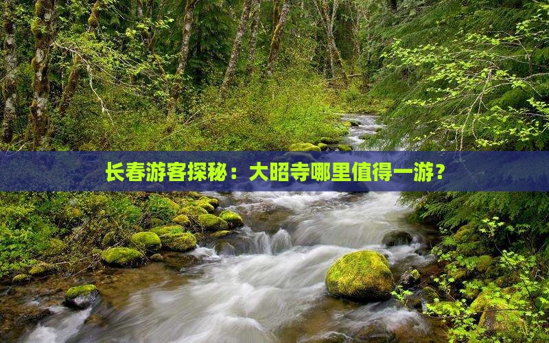 长春游客探秘：大昭寺哪里值得一游？