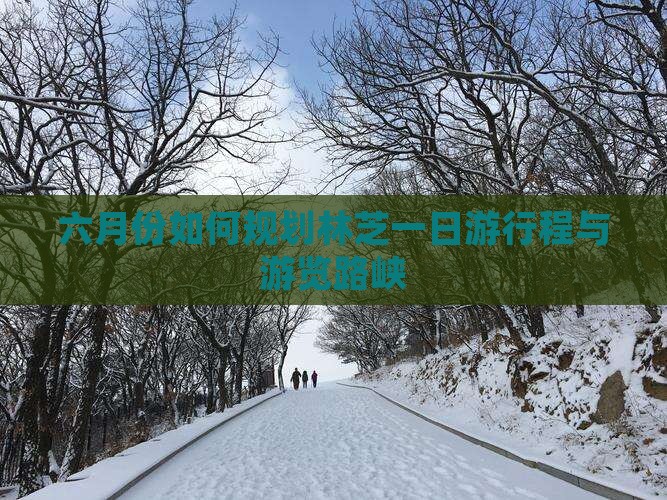 六月份如何规划林芝一日游行程与游览路峡