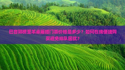 巴音郭楞至羊卓雍措门票价格是多少？如何在线便捷购买避免排队困扰？