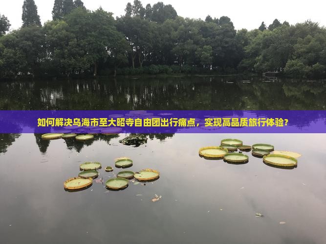 如何解决乌海市至大昭寺自由团出行痛点，实现高品质旅行体验？