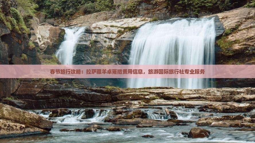 春节旅行攻略：拉萨藏羊卓雍措费用信息，旅游国际旅行社专业服务