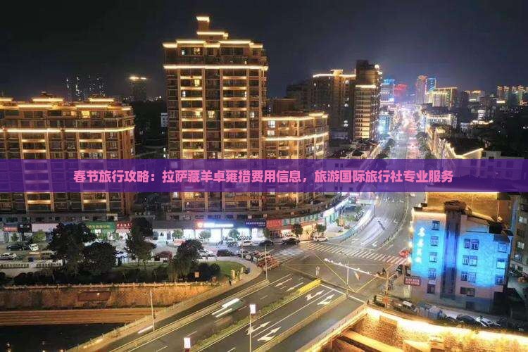 春节旅行攻略：拉萨藏羊卓雍措费用信息，旅游国际旅行社专业服务