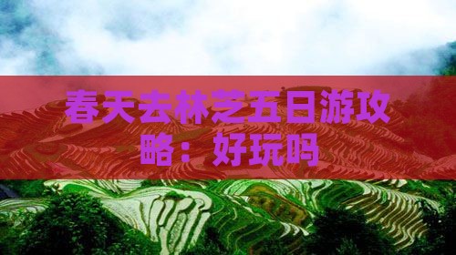 春天去林芝五日游攻略：好玩吗