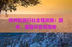 柳州到旅行社全程攻略：路线、里程与自驾指南