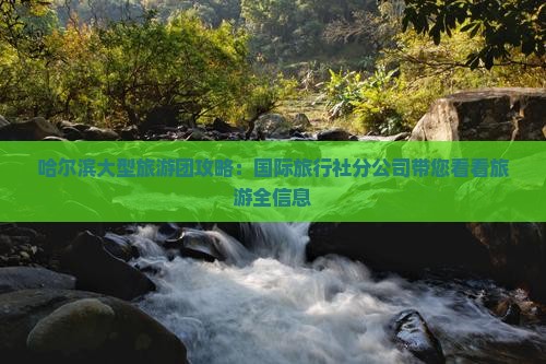 哈尔滨大型旅游团攻略：国际旅行社分公司带您看看旅游全信息
