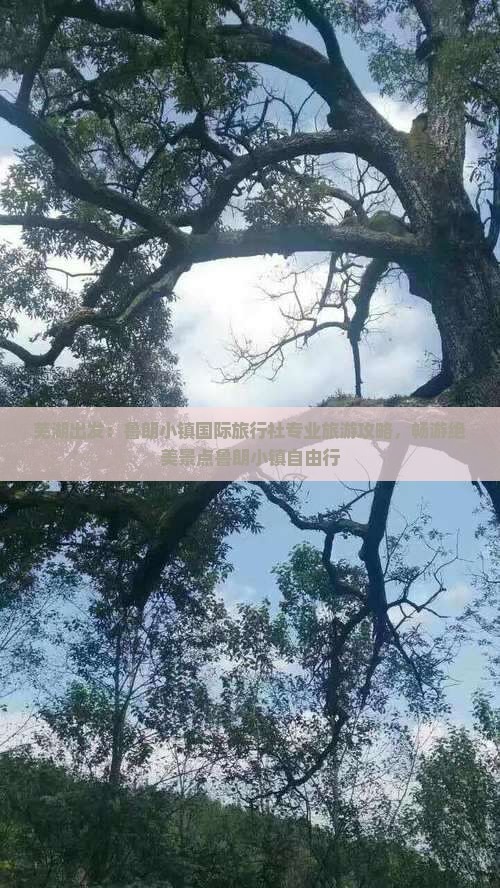 芜湖出发：鲁朗小镇国际旅行社专业旅游攻略，畅游绝美景点鲁朗小镇自由行