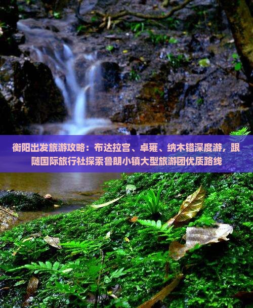 衡阳出发旅游攻略：布达拉宫、卓雍、纳木错深度游，跟随国际旅行社探索鲁朗小镇大型旅游团优质路线