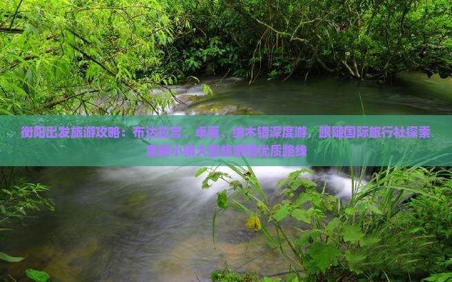 衡阳出发旅游攻略：布达拉宫、卓雍、纳木错深度游，跟随国际旅行社探索鲁朗小镇大型旅游团优质路线