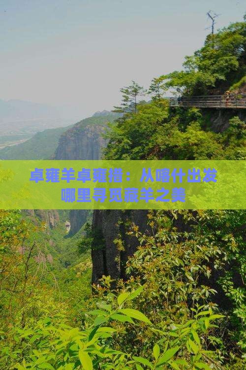 卓雍羊卓雍措：从喀什出发哪里寻觅藏羊之美
