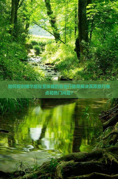 如何规划博尔塔拉至珠峰的自由行路犀解决高原旅行痛点和热门问题？