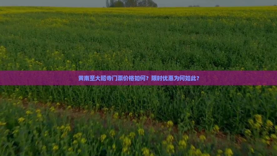 黄南至大昭寺门票价格如何？限时优惠为何如此？