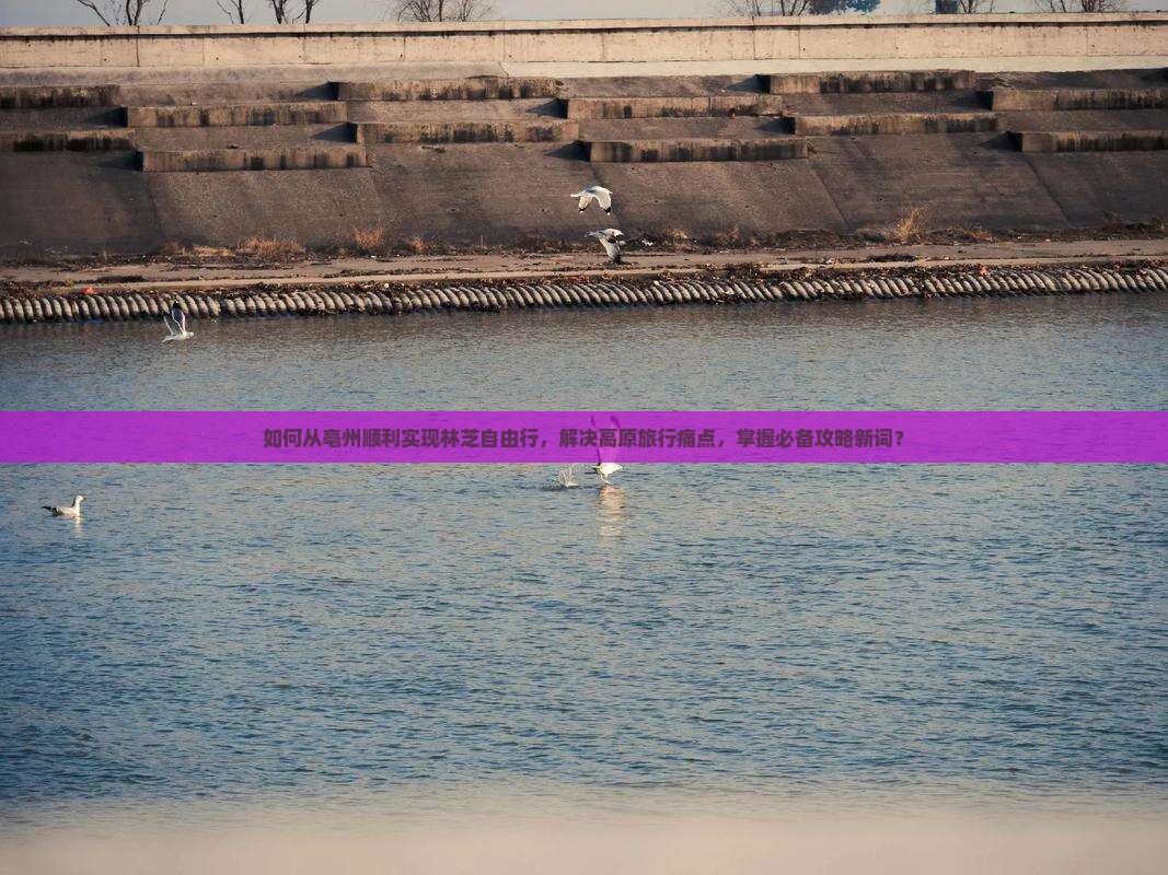 如何从亳州顺利实现林芝自由行，解决高原旅行痛点，掌握必备攻略新词？