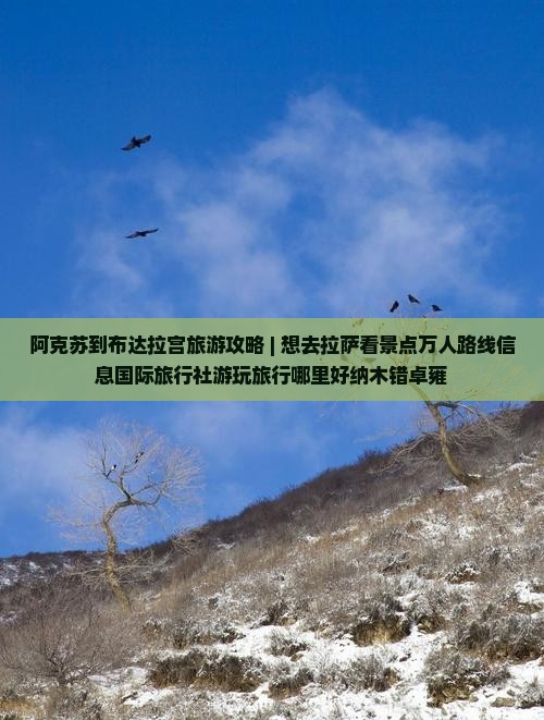 阿克苏到布达拉宫旅游攻略 | 想去拉萨看景点万人路线信息国际旅行社游玩旅行哪里好纳木错卓雍