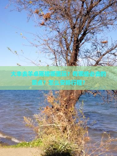 大丰去羊卓雍措哪里玩？有哪些必去的景点？怎么安排行程？