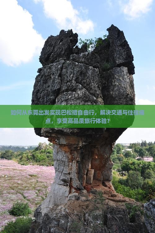 如何从东莞出发实现巴松措自由行，解决交通与住宿痛点，享受高品质旅行体验？