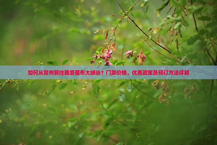 如何从常州前往雅鲁藏布大峡谷？门票价格、优惠政策及预订方法详解