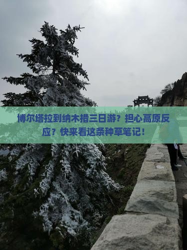 博尔塔拉到纳木措三日游？担心高原反应？快来看这条种草笔记！