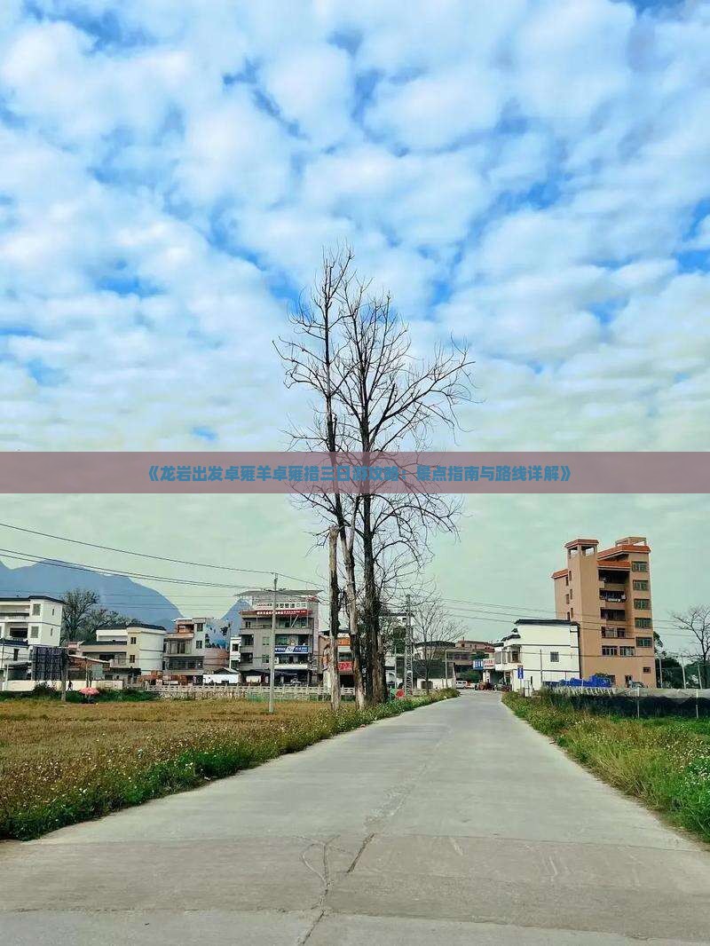 《龙岩出发卓雍羊卓雍措三日游攻略：景点指南与路线详解》