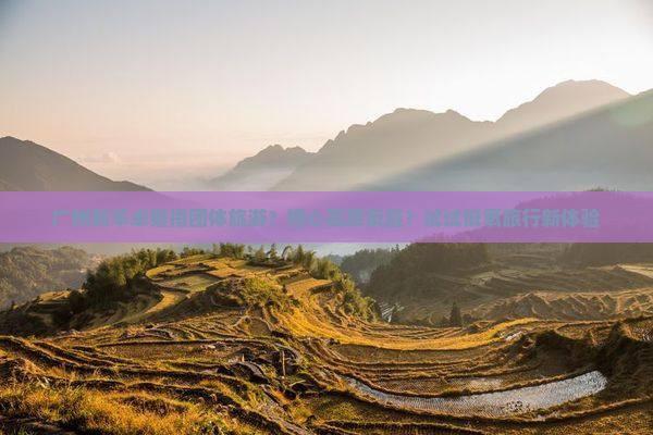 广州到羊卓雍措团体旅游？担心高原反应？试试低氧旅行新体验