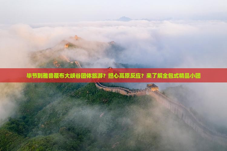 毕节到雅鲁藏布大峡谷团体旅游？担心高原反应？来了解全包式精品小团