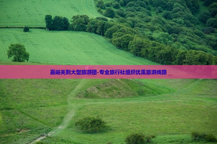 嘉峪关到大型旅游团-专业旅行社组织优质旅游线路