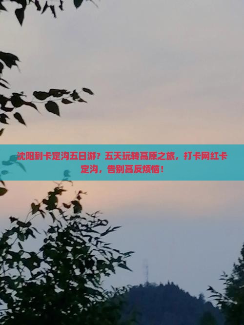 沈阳到卡定沟五日游？五天玩转高原之旅，打卡网红卡定沟，告别高反烦恼！