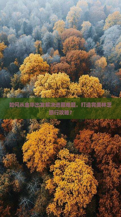 如何从金华出发解决进藏难题，打造完美林芝旅行攻略？