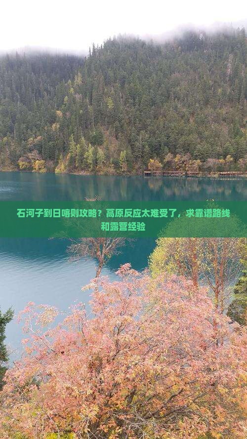 石河子到日喀则攻略？高原反应太难受了，求靠谱路线和露营经验