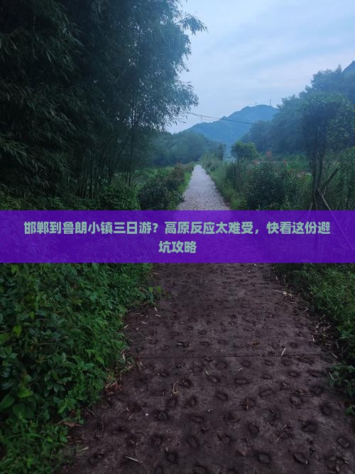 邯郸到鲁朗小镇三日游？高原反应太难受，快看这份避坑攻略