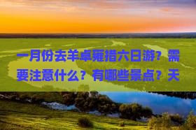 一月份去羊卓雍措六日游？需要注意什么？有哪些景点？天气如何？