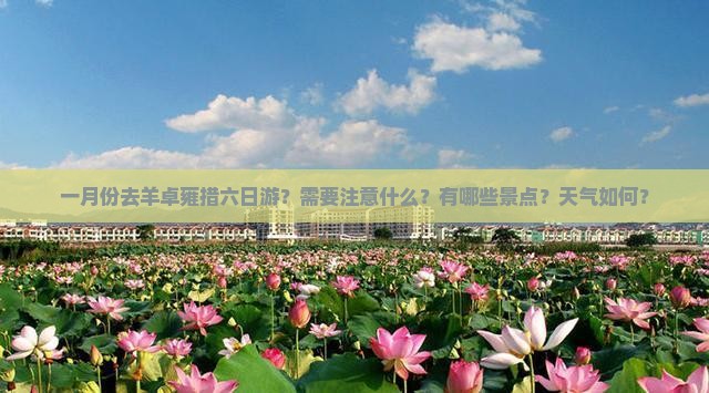 一月份去羊卓雍措六日游？需要注意什么？有哪些景点？天气如何？