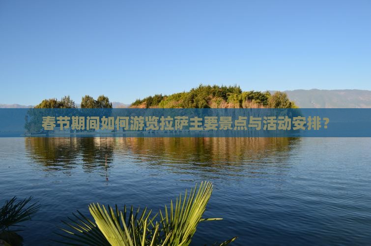 春节期间如何游览拉萨主要景点与活动安排？
