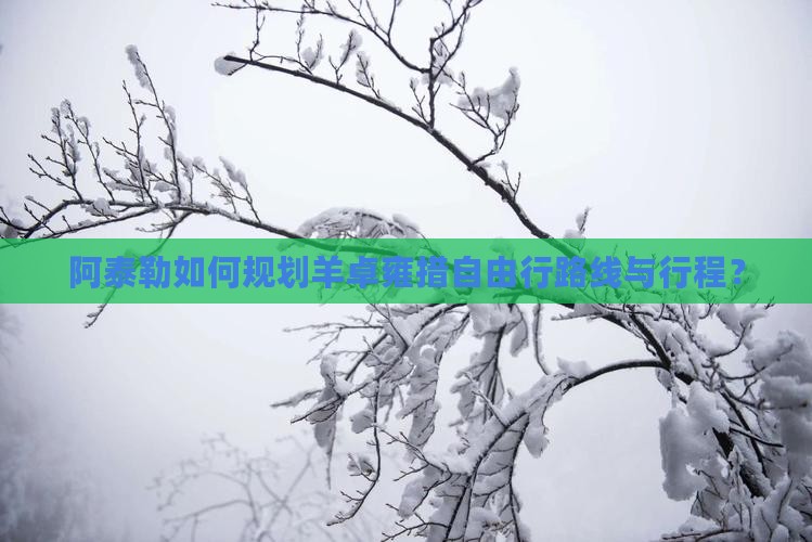 阿泰勒如何规划羊卓雍措自由行路线与行程？
