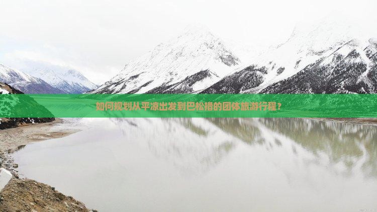 如何规划从平凉出发到巴松措的团体旅游行程？