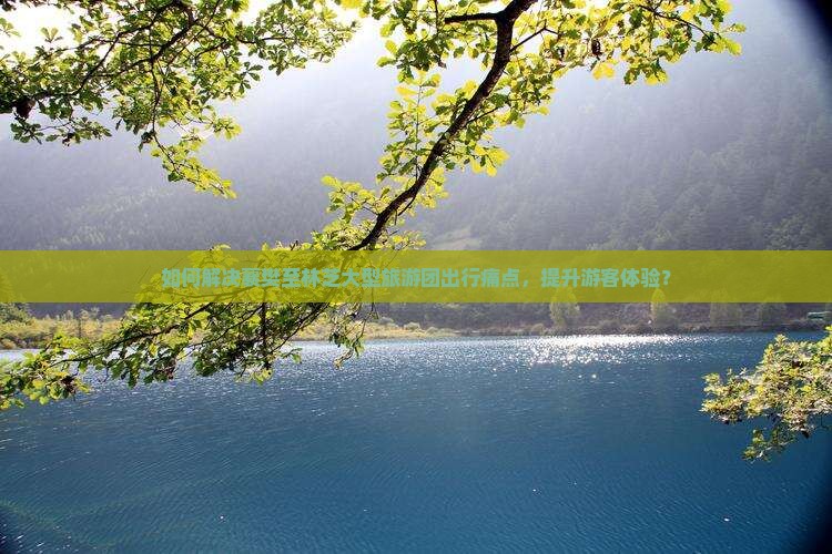 如何解决襄樊至林芝大型旅游团出行痛点，提升游客体验？