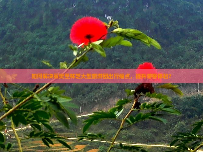 如何解决襄樊至林芝大型旅游团出行痛点，提升游客体验？