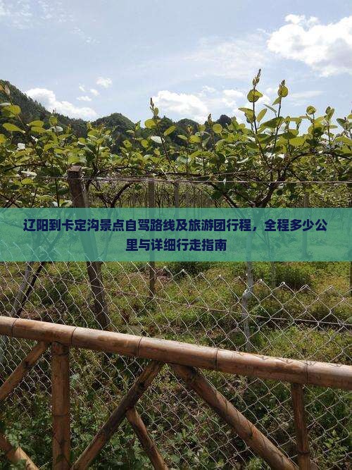 辽阳到卡定沟景点自驾路线及旅游团行程，全程多少公里与详细行走指南