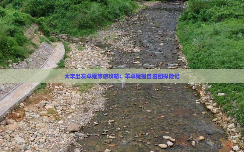 大丰出发卓雍旅游攻略：羊卓雍措自由团探险记