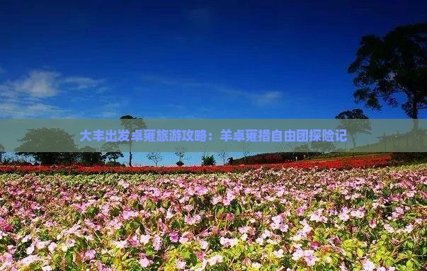 大丰出发卓雍旅游攻略：羊卓雍措自由团探险记