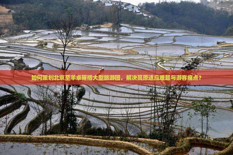 如何策划北京至羊卓雍措大型旅游团，解决高原适应难题与游客痛点？