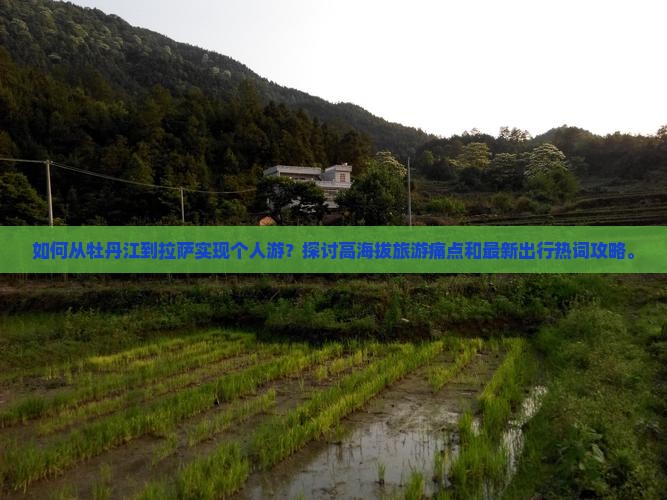 如何从牡丹江到拉萨实现个人游？探讨高海拔旅游痛点和最新出行热词攻略。