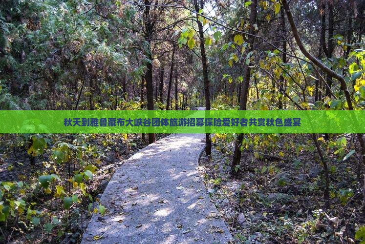 秋天到雅鲁藏布大峡谷团体旅游招募探险爱好者共赏秋色盛宴