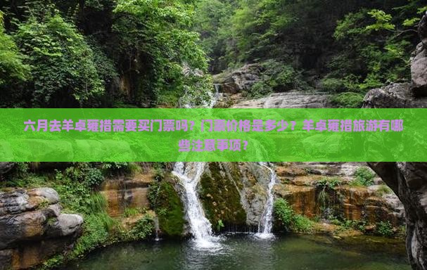 六月去羊卓雍措需要买门票吗？门票价格是多少？羊卓雍措旅游有哪些注意事项？