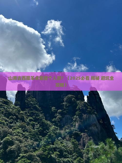 山南去西藏羊卓雍措个人游