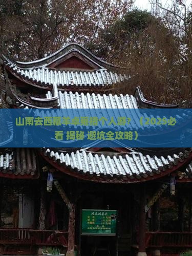 山南去西藏羊卓雍措个人游