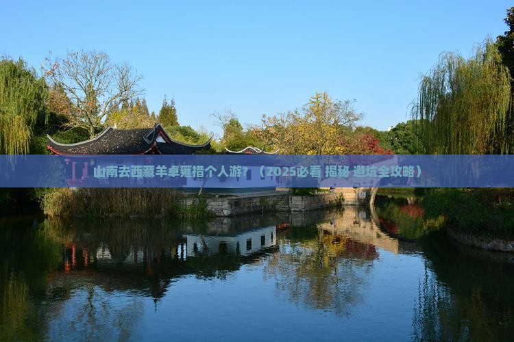 山南去西藏羊卓雍措个人游